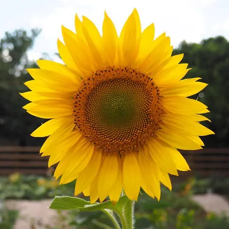 Swara Slow Living Quarto em Acomodações Particulares *