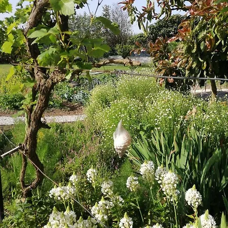 Swara Slow Living Quarto em Acomodações Particulares *