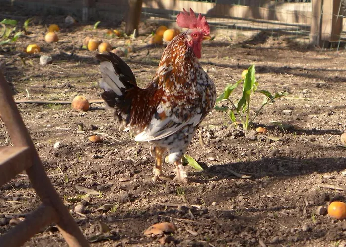 Swara Slow Living Kwatera prywatna Aveiro