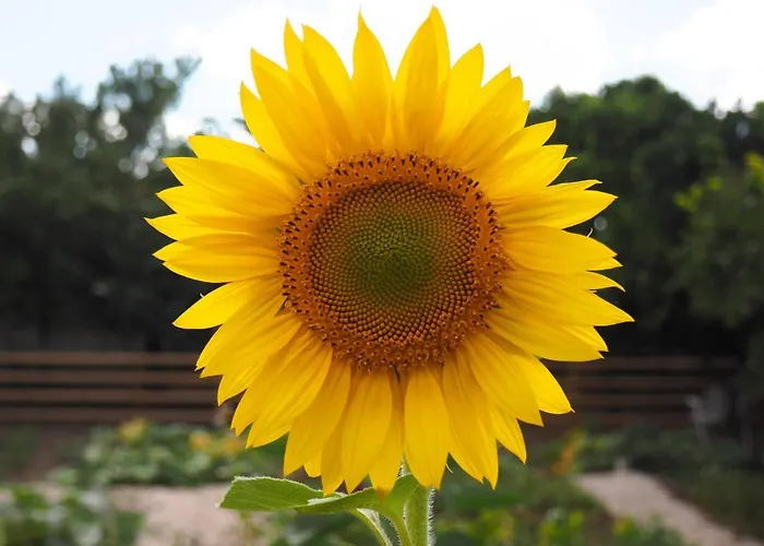 Swara Slow Living Kwatera prywatna *