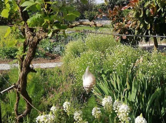 Swara Slow Living Kwatera prywatna *